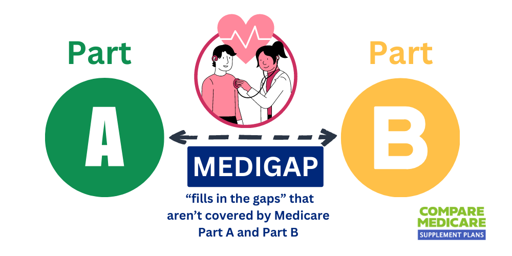 What does a medicare supplement policy cover quizlet 